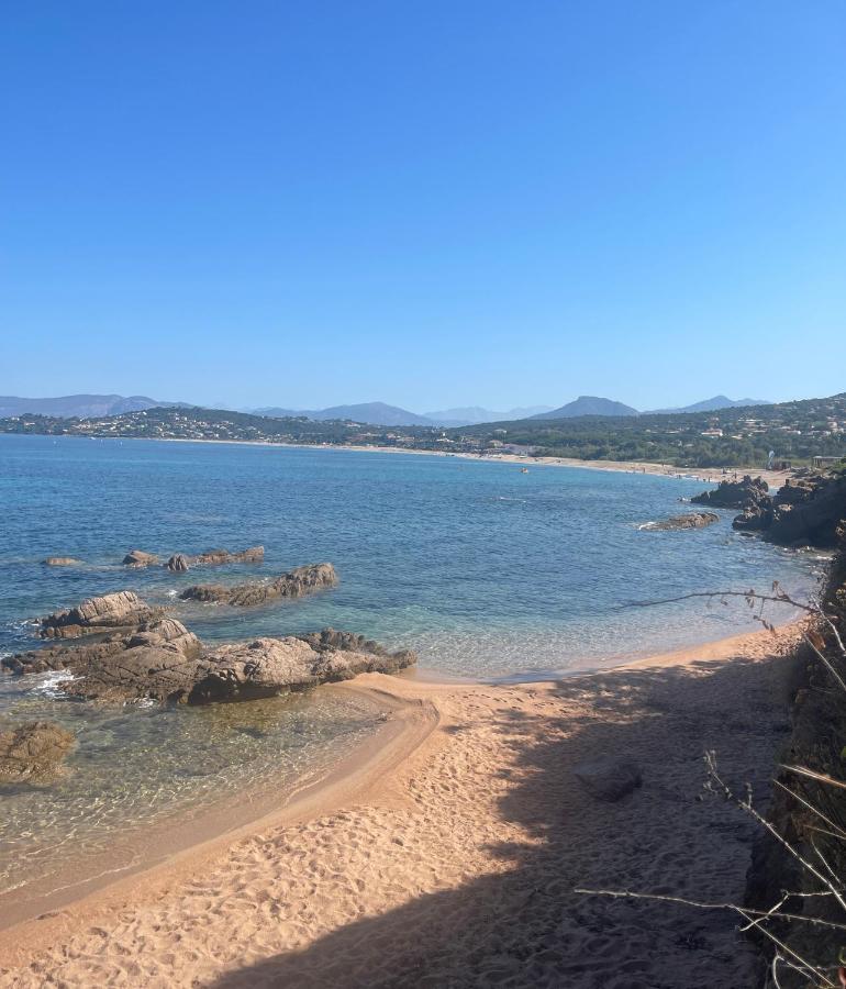 Mare Noi Pietrosella