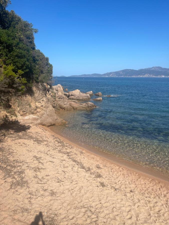 Apartment Mare Noi *